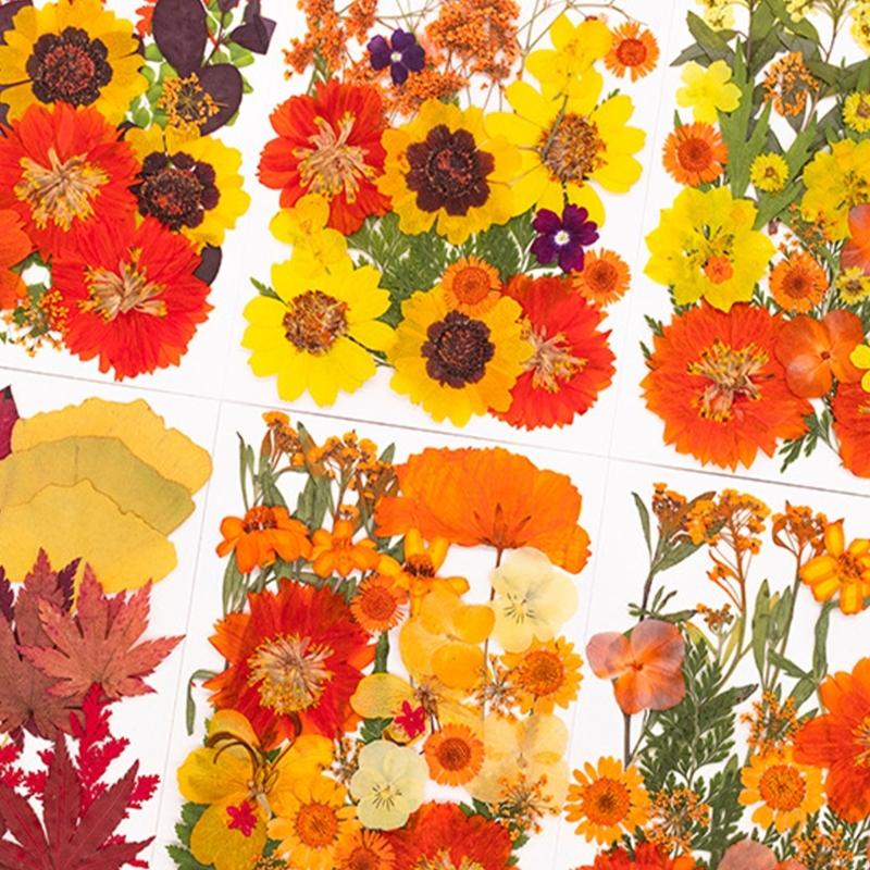 Resin Craft Ideas - Natural Pressed Dried Flower For Resin