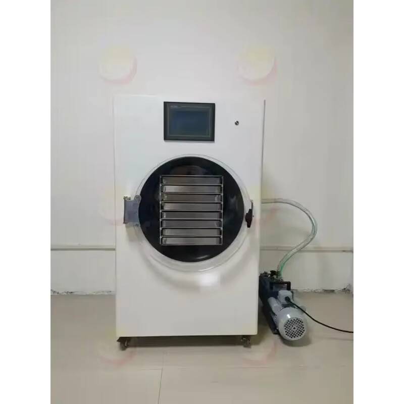 Vacuum Chamber Small - Freeze Drying Machine Small Vacuum Lab