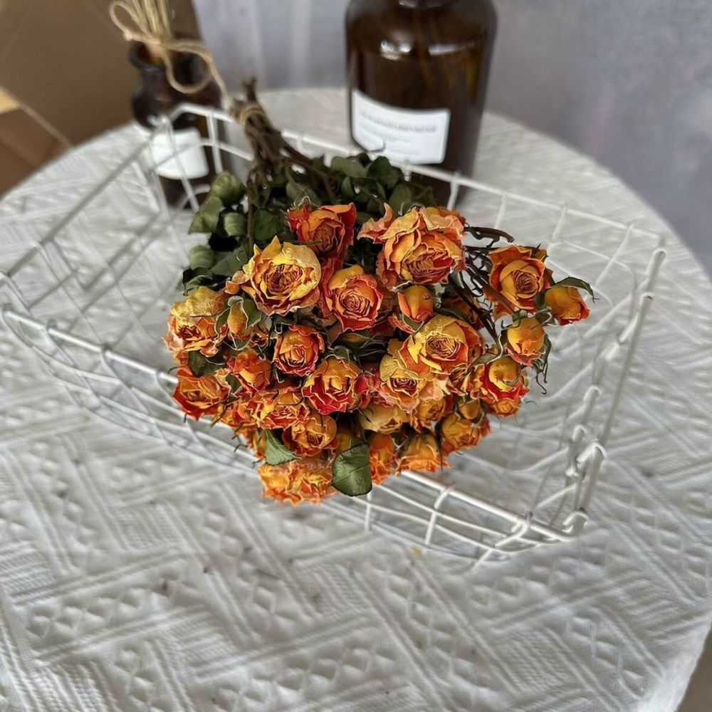 Real Preserved Roses Dried Flo - Resin Craft Ideas ulasan dan harga